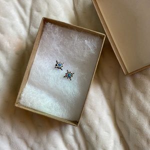 taylor swift “opal eyes” earrings